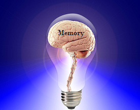 Human memory