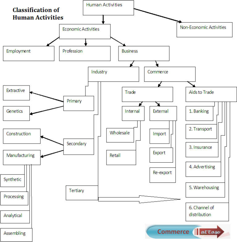 Human activity. Classification of Human. Human economic activity. Classification Chart. Classification of Warehouses.