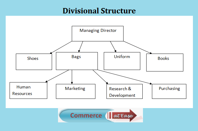 Divisional Structure Organization Chart