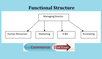 Functional Structure