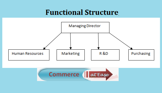 functional organizational structure